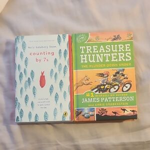 Counting by 7s and Treasure Hunters Books